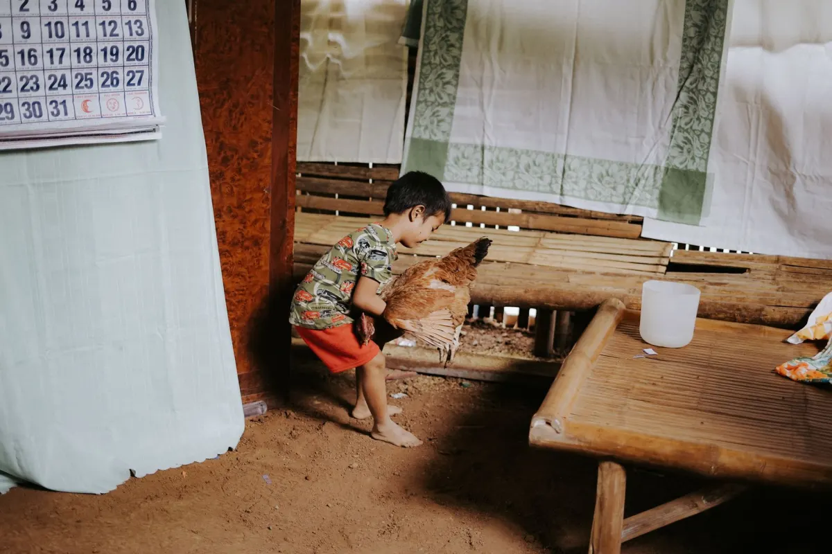 Calendrier hebdomadaire d’activités douces pour toute la famille : guide complet